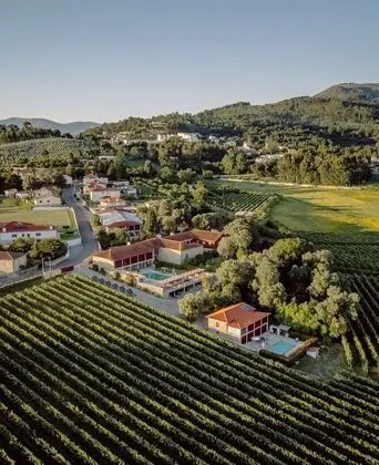 CASA LATA - AGROTURISMO E ENOTURISMO - Öne Çıkan Resim