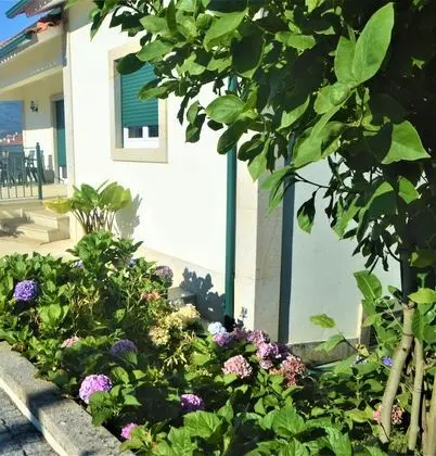 Casa Límia - Öne Çıkan Resim