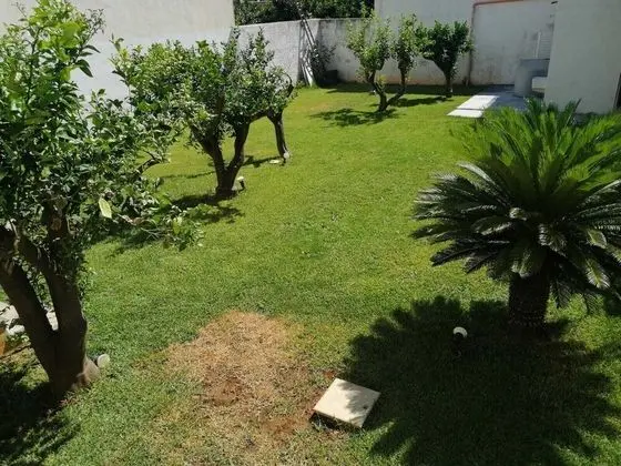 Casa Lisa a due passi dal mare con ampio giardino