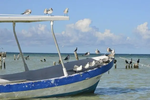 Casa Luz Holbox