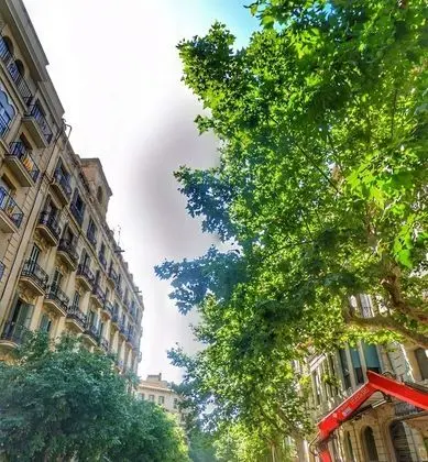 Casa Maca Guest House - Dış Mekan