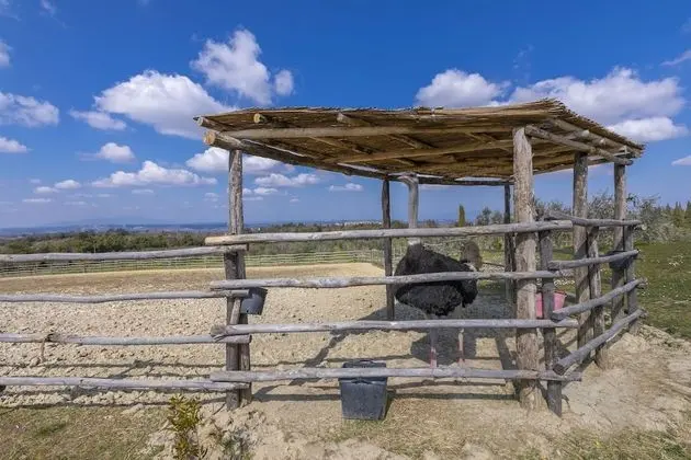 Casa Marcello - Dış Mekan
