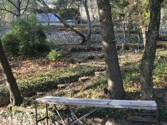 Casa Marta : Suites - Terrasses et vue Panoramique - Dış Mekan
