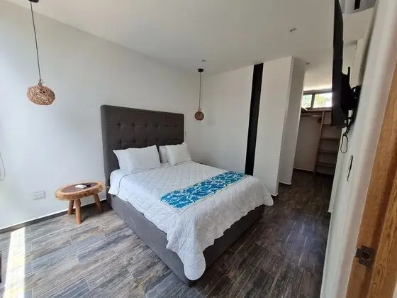 CASA MEXICANA MODERNA - PISCINA PRIVADA - Oda