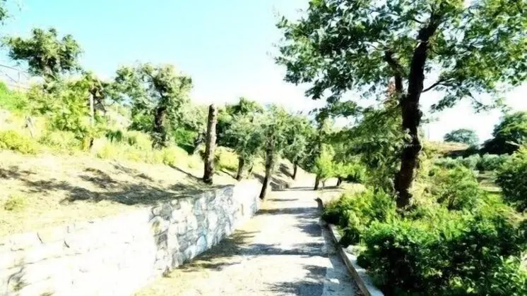 Casa Nando - Dış Mekan