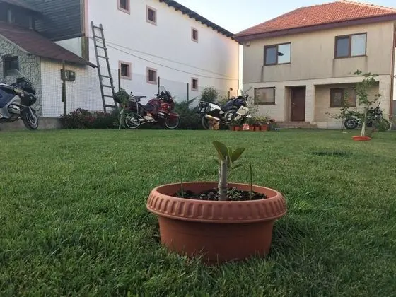 Casa Noastra Vama Veche - Dış Mekan