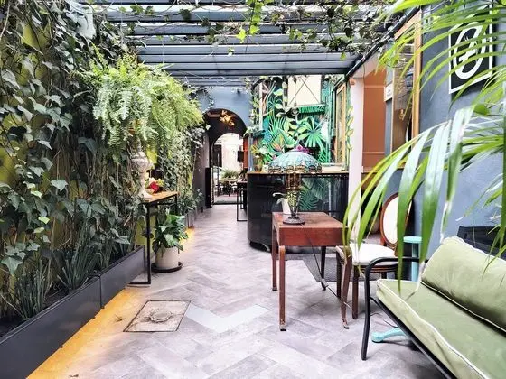 Casa Panuco - Öne Çıkan Resim