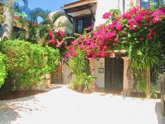 Casa Royal Palms by Playa Paradise - Dış Mekan