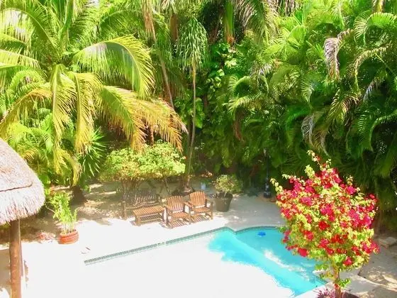 Casa Royal Palms by Playa Paradise - Havuz