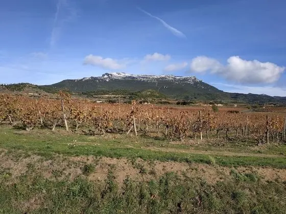 Casa Rural Osante