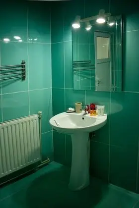 Casa Seciu - Banyo Tipleri