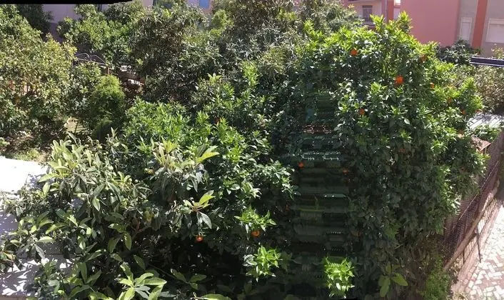 Casa Vacanze Da Angela - Dış Mekan