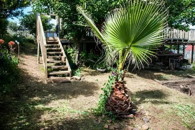 Casa Verde Pichilemu - Öne Çıkan Resim