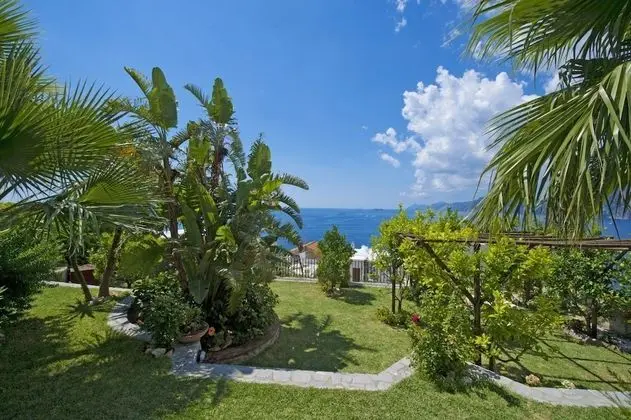 Casa Verde