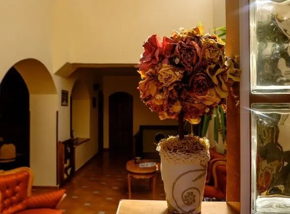Casa Wagner Brasov - Lobi