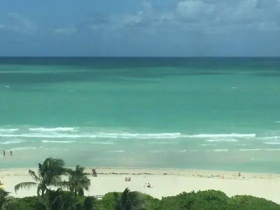 Casablanca Miami Beach - Plaj