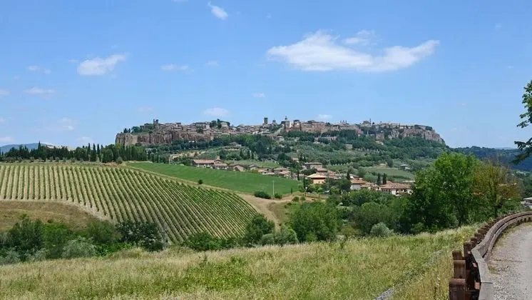 Casale dei Tigli 8 in Castel Giorgio - Oda