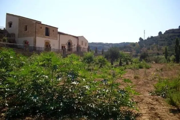 Casale del Golfo - Dış Mekan