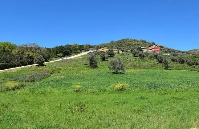 Casale Il Cilento - Dış Mekan