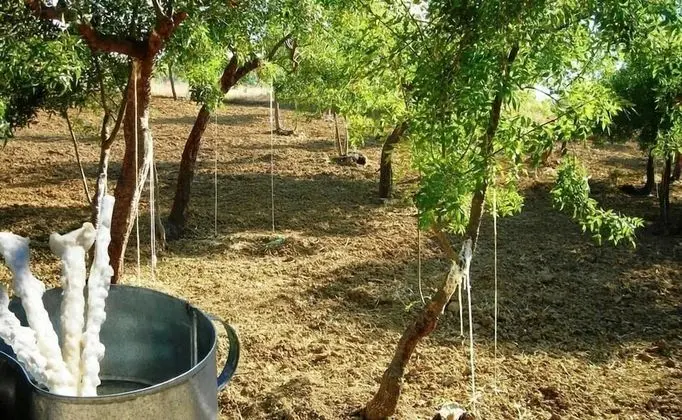 Casale Margherita turismo rurale - Dış Mekan