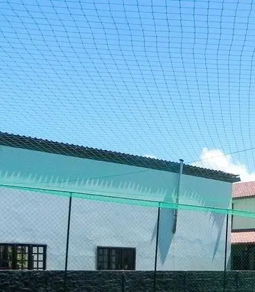 Casas Duplex-Village Praia dos Carneiros - Dış Mekan