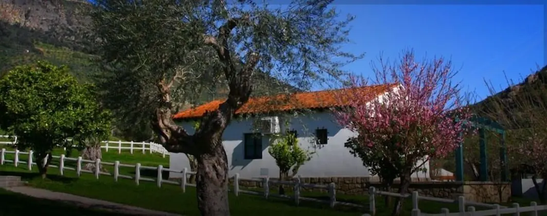 Casas Rurales Aldeaduero - Öne Çıkan Resim