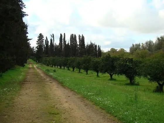 Case di Latomie Agriturismo - Turismo Rurale - Dış Mekan