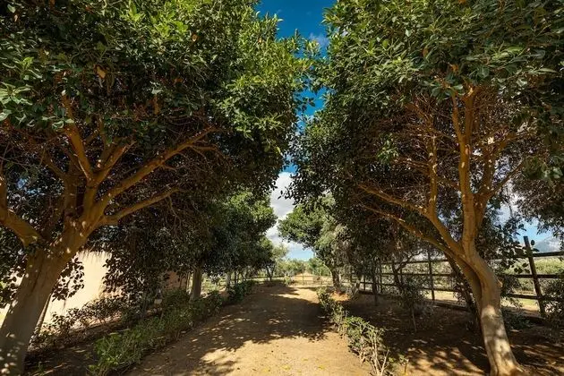 Casette di Calzata - Dış Mekan