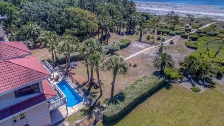 Cassina Palms - Öne Çıkan Resim