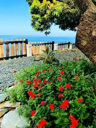 Castara Inn