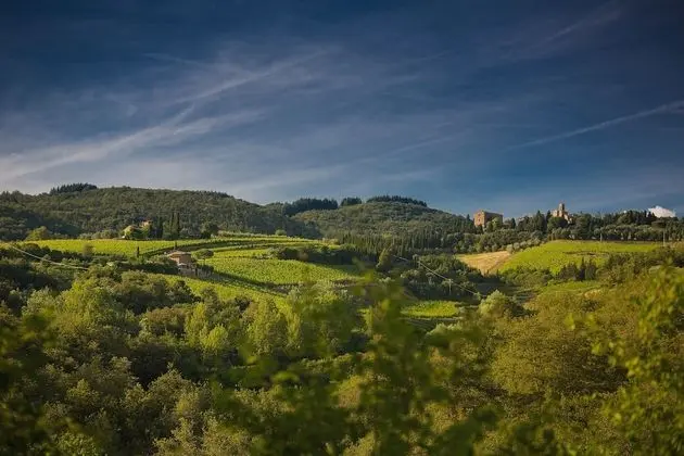 Castello di Volpaia - Dış Mekan