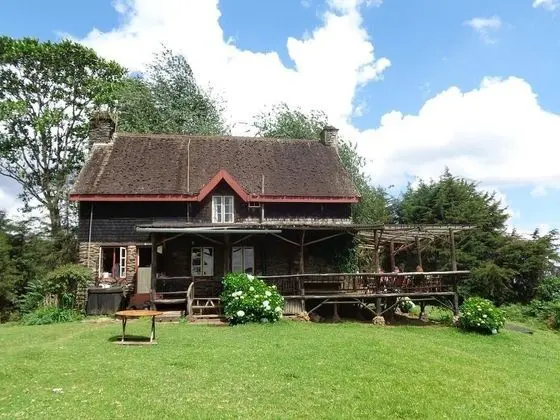 Castle Forest Lodge - 1