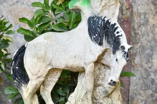 Castle Nolana Hotel & Horse Club - Dış Mekan