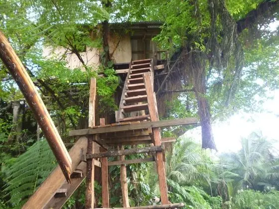 Castle Tree House