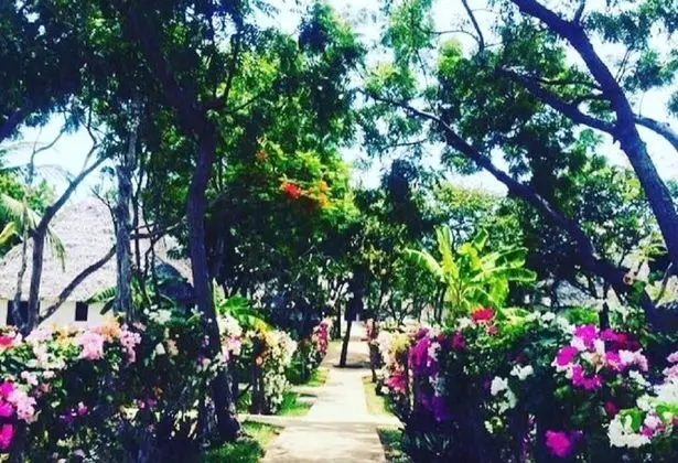 Casuarina Villas Resort - Dış Mekan