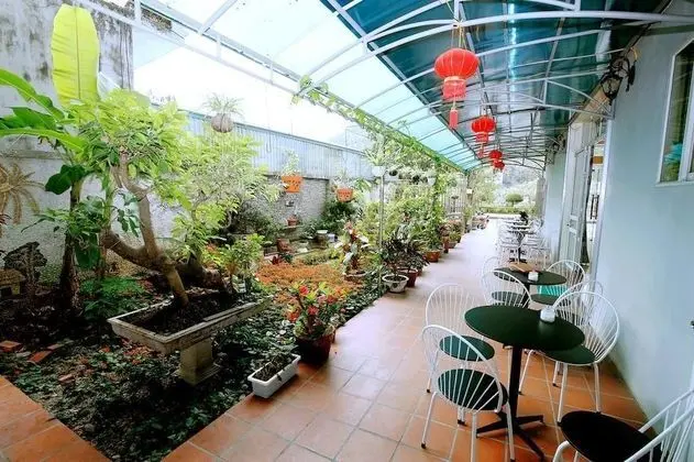 Cat Ba Central Hotel II - Hostel - Dış Mekan