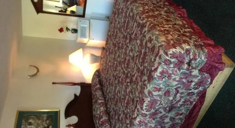 Catalina Airport Motel - Genel