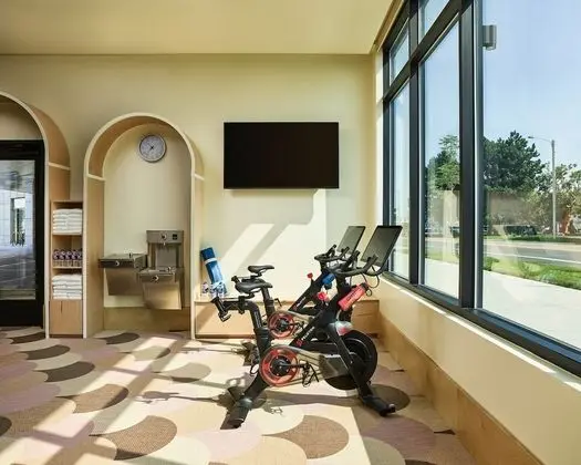 Catbird Hotel - Fitness