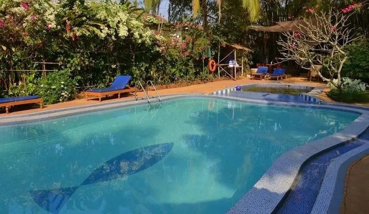 Cavala Seaside Resort - Havuz