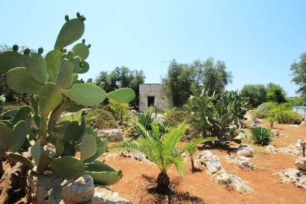 Cavaliere Lovely Pool Home - Dış Mekan