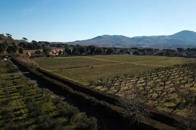 Villa Cavalletti Camere - Dış Mekan