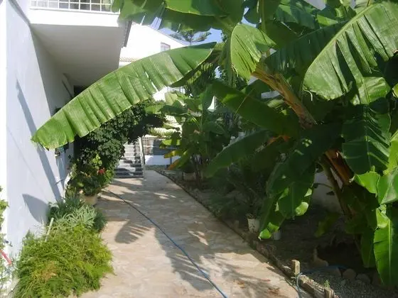 Cavo D'Oro Apartments - Dış Mekan
