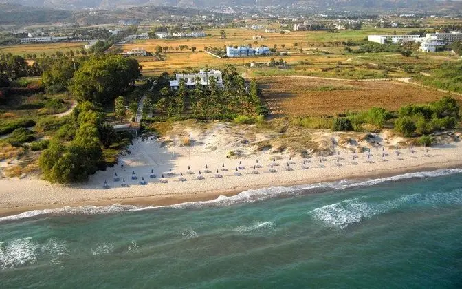 Cavo D'oro - Genel