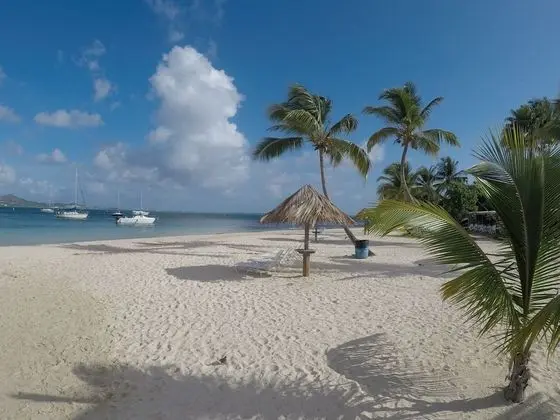 Hotel on the Cay - Plaj
