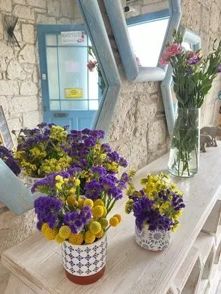 Çayırlı Alaçatı