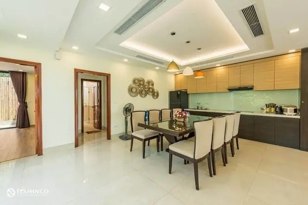Villa CBT Flamingo Dai Lai - Mutfak