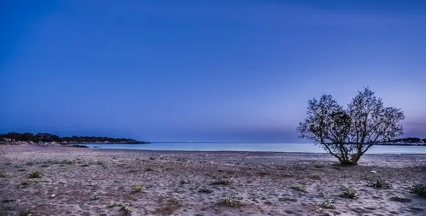 Cedar Bay Beachside Villas - Plaj