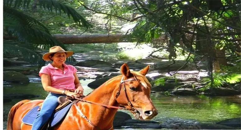 Cedar Creek Lodges at Thunderbird Park - Genel