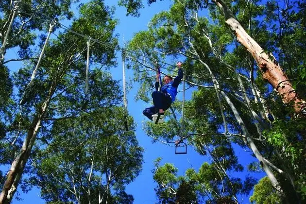 Cedar Creek Lodges at Thunderbird Park - Genel
