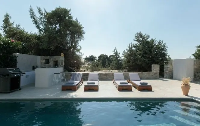 Villa Cedar Forest Alyko Naxos